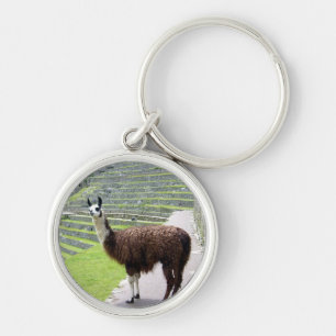 llama looking keychain