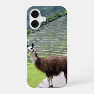 llama looks iPhone 16 case