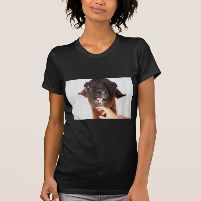 Llama Love T-Shirt (Front)