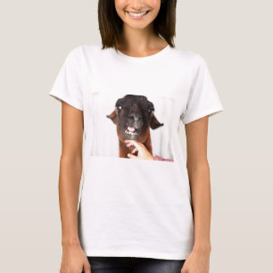 Llama Love T-Shirt