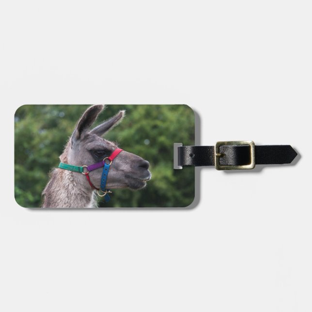 Llama Luggage Tag (Front Horizontal)