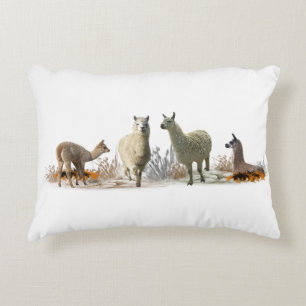Llama Meadow Coussin (choisir la couleur)