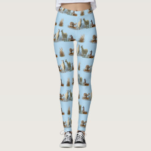 Llama Meadow Leggings (Light Blue)