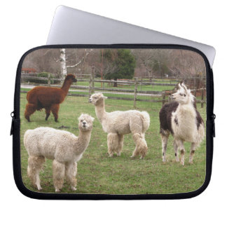 Llama Melange ~ Laptop Sleeve