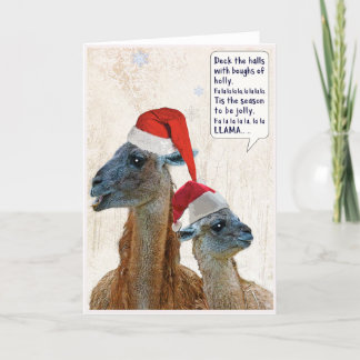 Llama Noël Carte de voeux Deck Les Halls