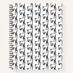Llama Notebook