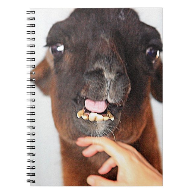 Llama Notebook (Front)