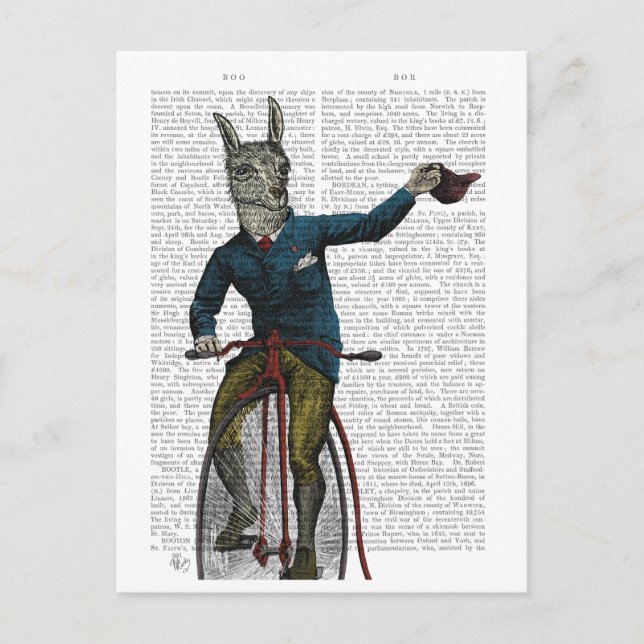 Llama on Bike Postcard (Front)