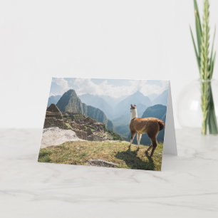 Llama Overlooking Bad Machu Picchu, Peru Card