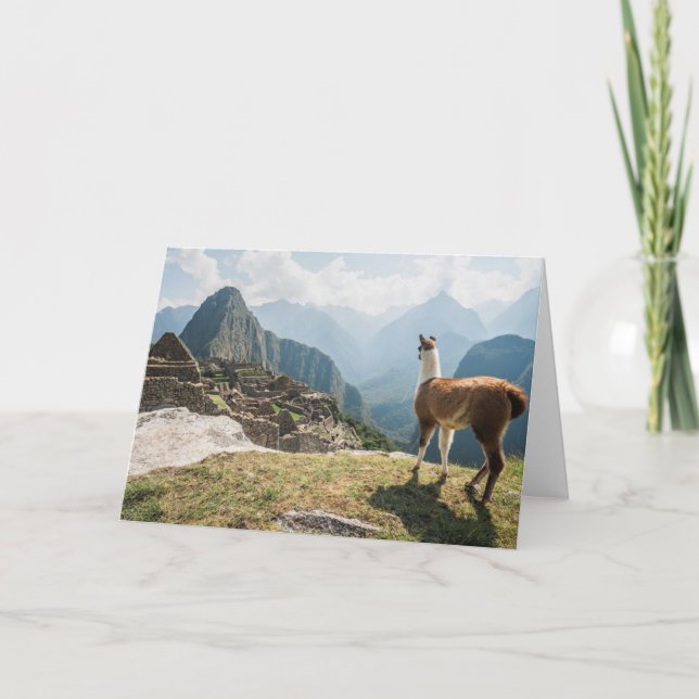 Llama Overlooking Ruins | Machu Picchu, Peru Card (Front)