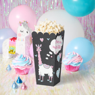 Llama Pajama Party Favor Box