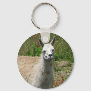 Llama Photograph Keychain
