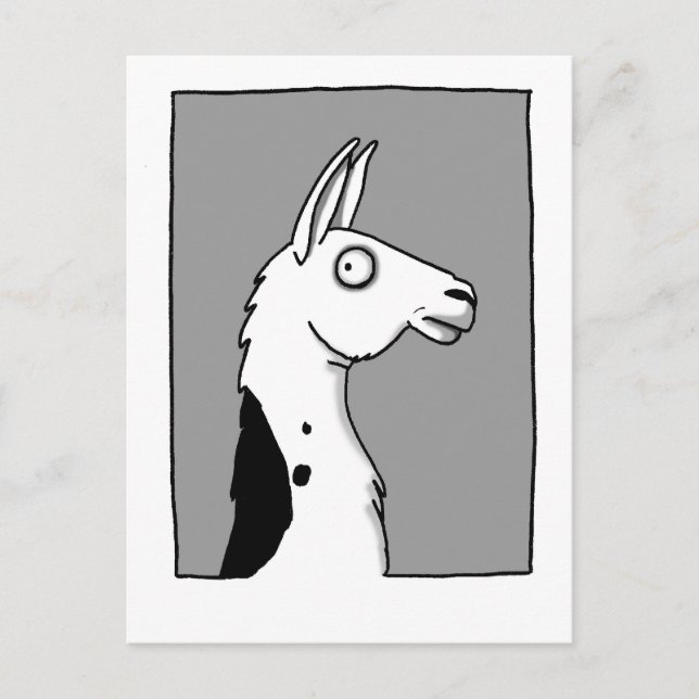 Llama Postcard (Front)
