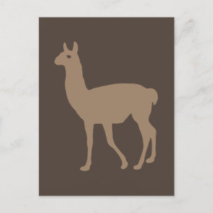 Llama Postcard