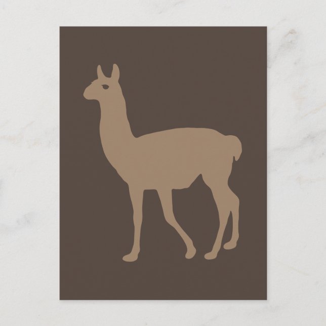 Llama Postcard (Front)