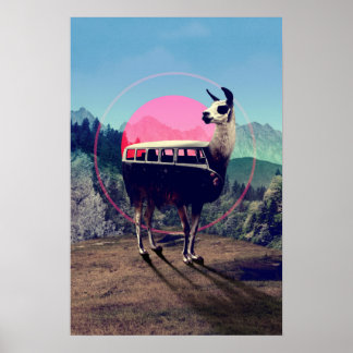 Llama Poster