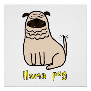 Llama Pug Semi-Gloss Poster - 20" x 20" Dog Print