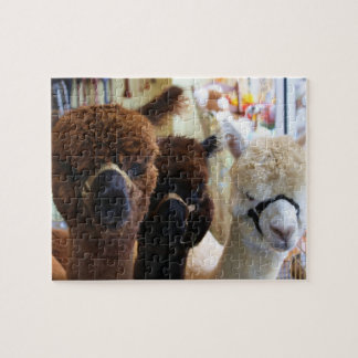 Llama Puzzle