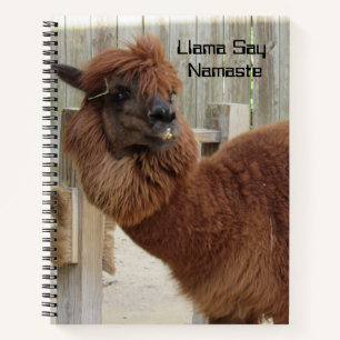 Llama Say Namaste Notebook - 2 Photos - Front/Back