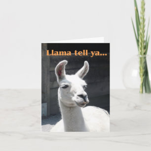 "Llama Tell Ya" Smiling Llama Blank Note Card