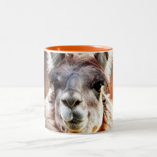 Llama Two-Tone Coffee Mug