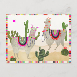 Llamarama Collection   Cute Lllamas Postcard