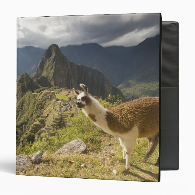 LLamas and an over look of Machu Picchu, Binder (Front/Inside)