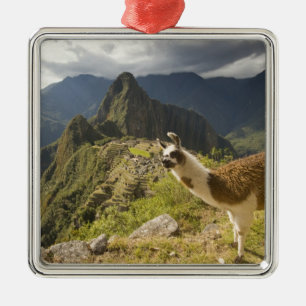 LLamas and an over look of Machu Picchu, Metal Ornament