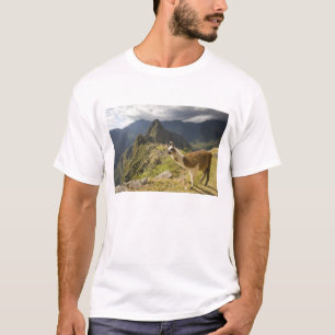 LLamas and an over look of Machu Picchu, T-Shirt