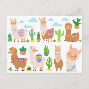 Llamas Postcard