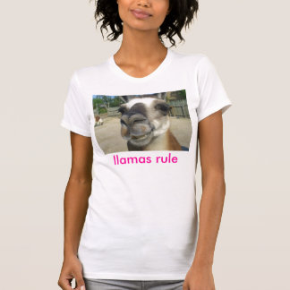 llamas rule  womesn tshirt