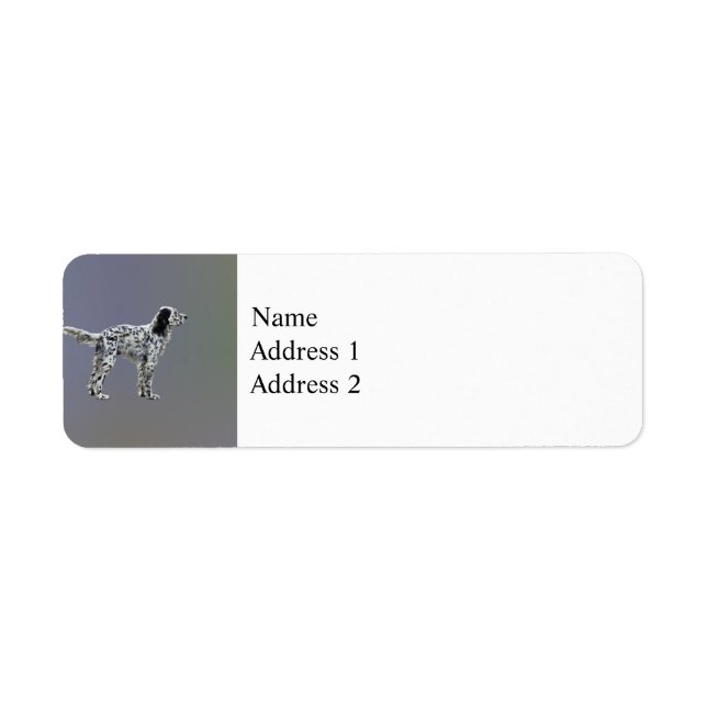 LLewellin Setter (Front)