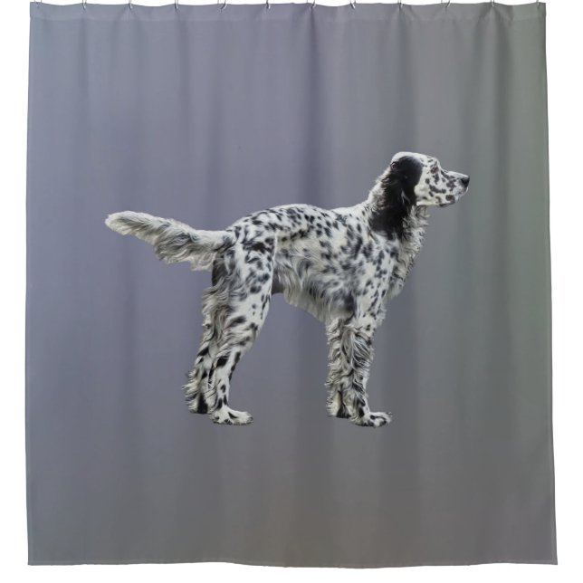 LLewellin Setter (Front)