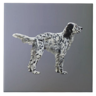 LLewellin Setter Tile