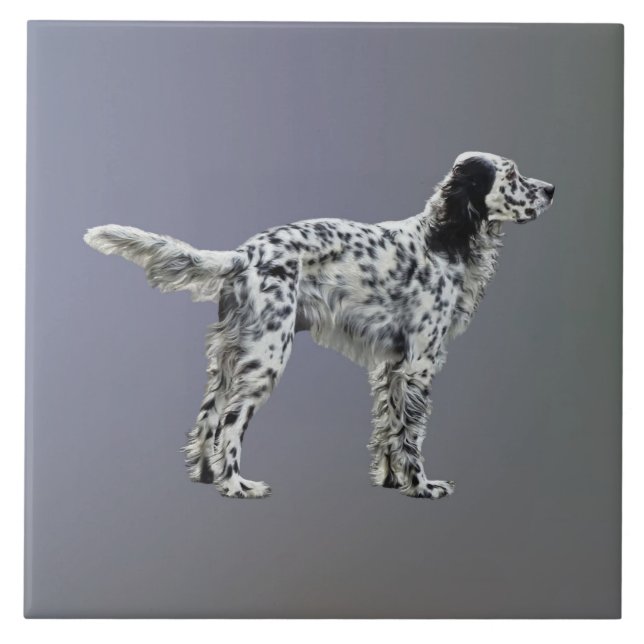 LLewellin Setter Tile (Front)