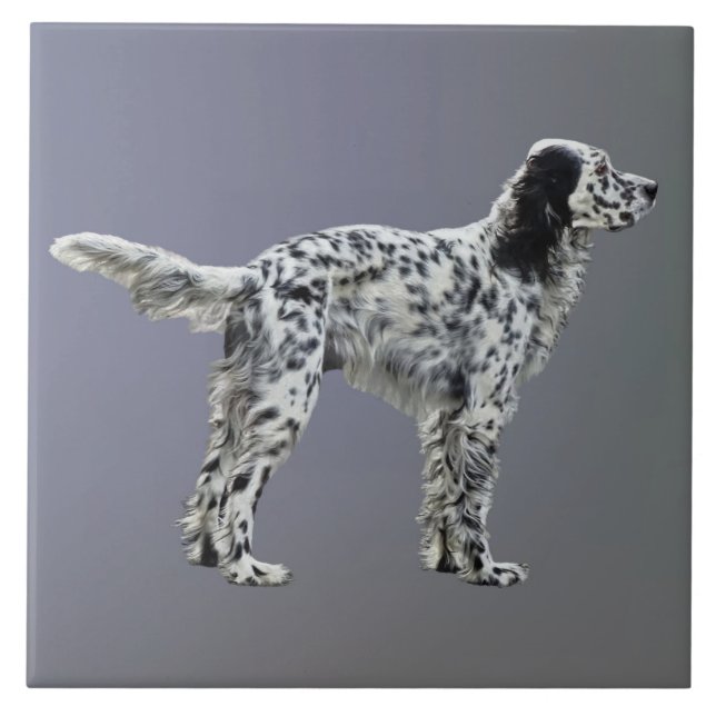LLewellin Setter Tile (Front)