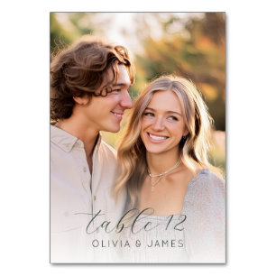 ___LLMGEN___ 14 TABLE NUMBER