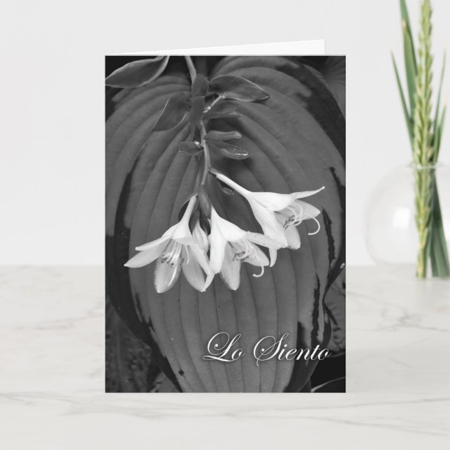 Lo Siento, Sympathy in Spanish, Hosta Blooms Card (Front)