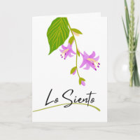 Lo Siento Sympathy Spanish with Hosta Blooms