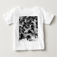 LOADS of Rams Sheep Black and White