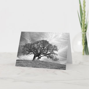 LOAN OAK IN WINTER CARD