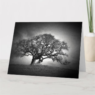 LOAN OAK TREE CARD