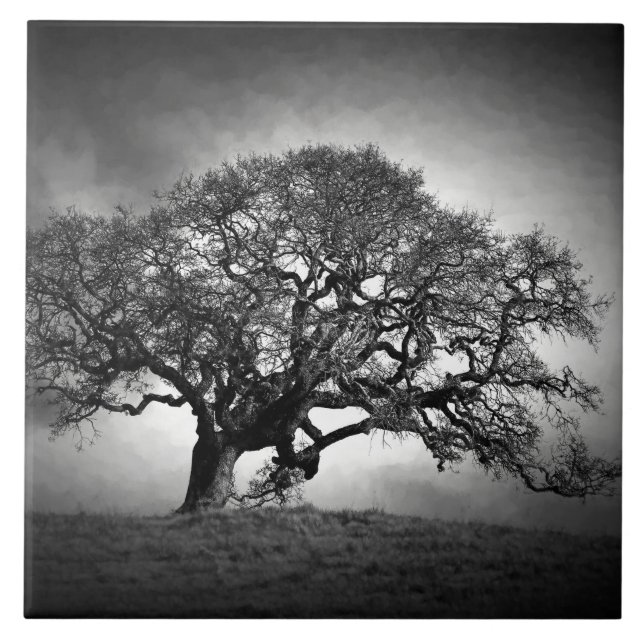 LOAN OAK TREE TILE (Front)