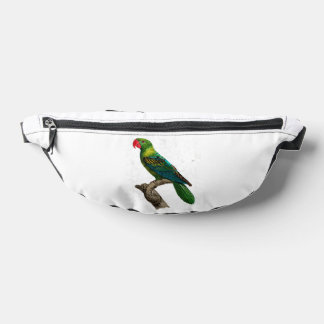 lobedolphi fanny pack