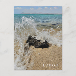 Lobos Island beach view postcard