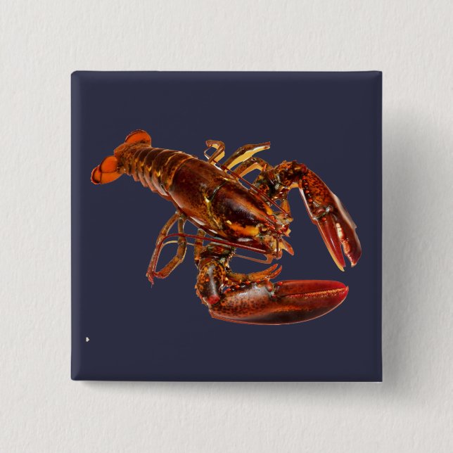 Lobster 2 Inch Square Button (Front)