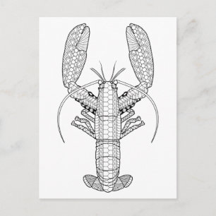 Lobster Adult Colouring Postcard