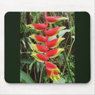 Lobster Claw Flower- Heliconia Rostrata Mouse Pad