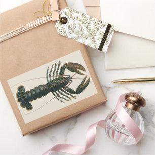 Lobster Claws Vintage Marine Ocean Life Crustacean Sticker