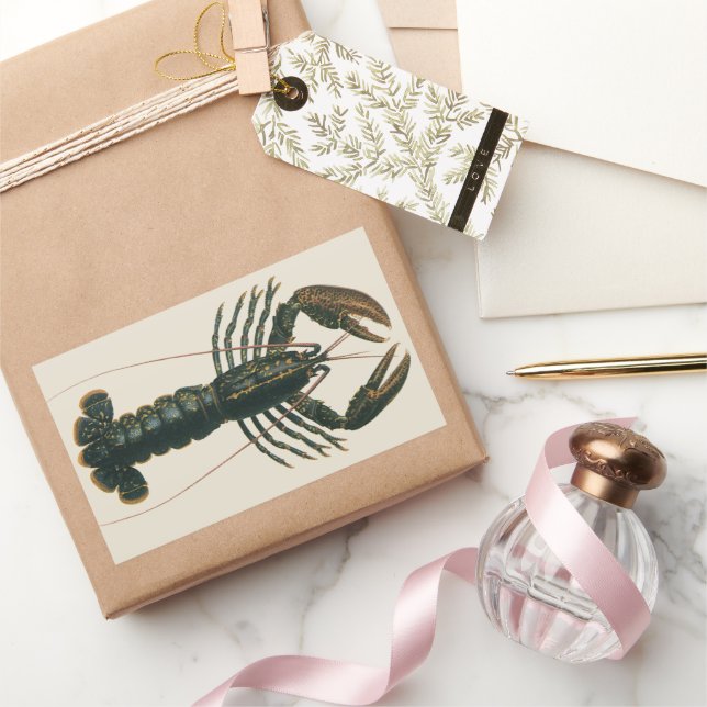 Lobster Claws Vintage Marine Ocean Life Crustacean Sticker (Gifting)